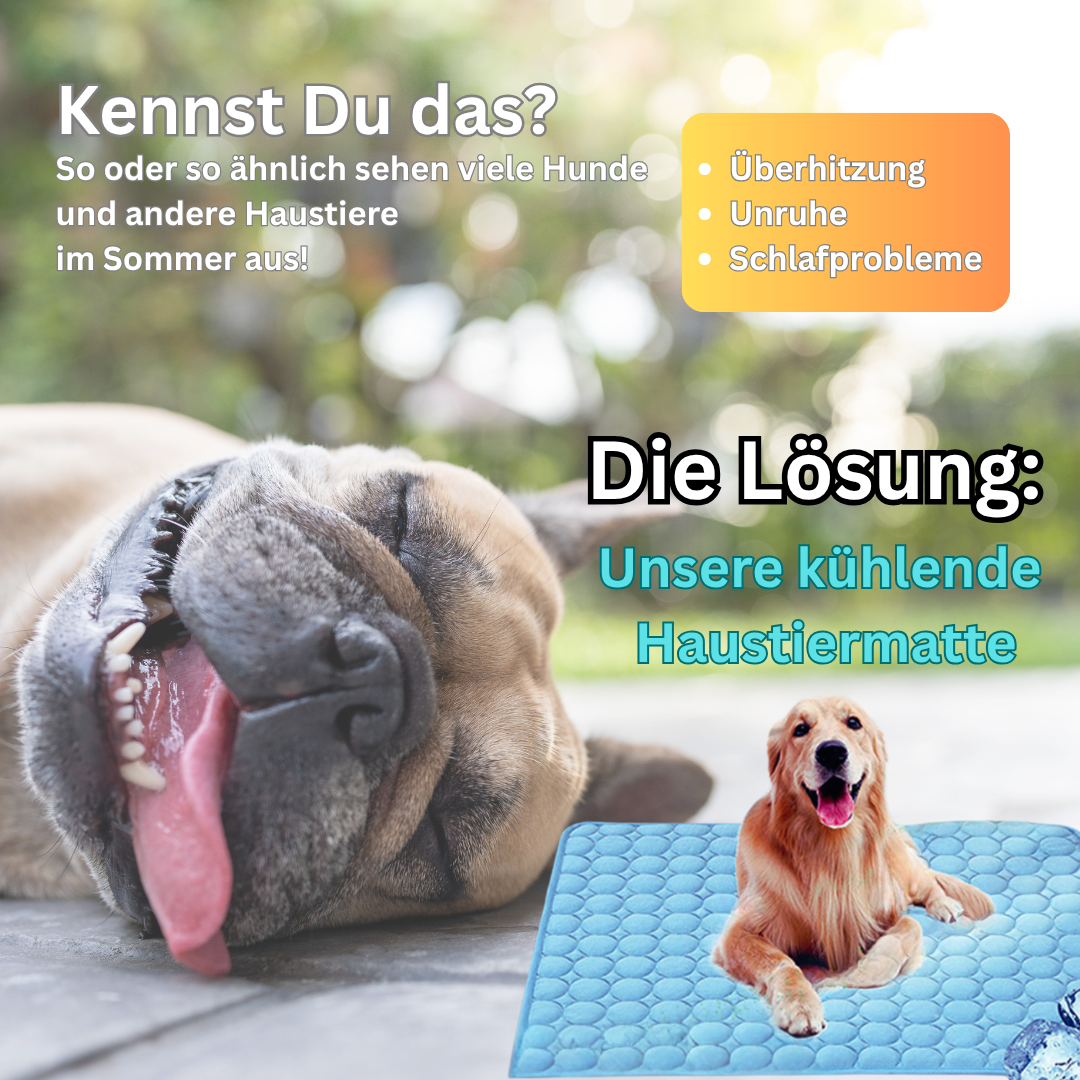 ❄️Kühlende Haustiermatte