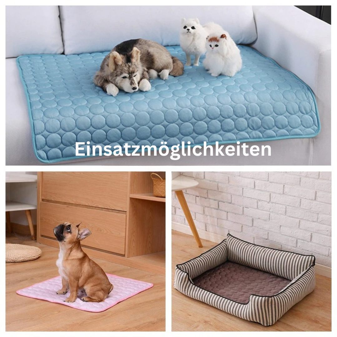 ❄️Kühlende Haustiermatte