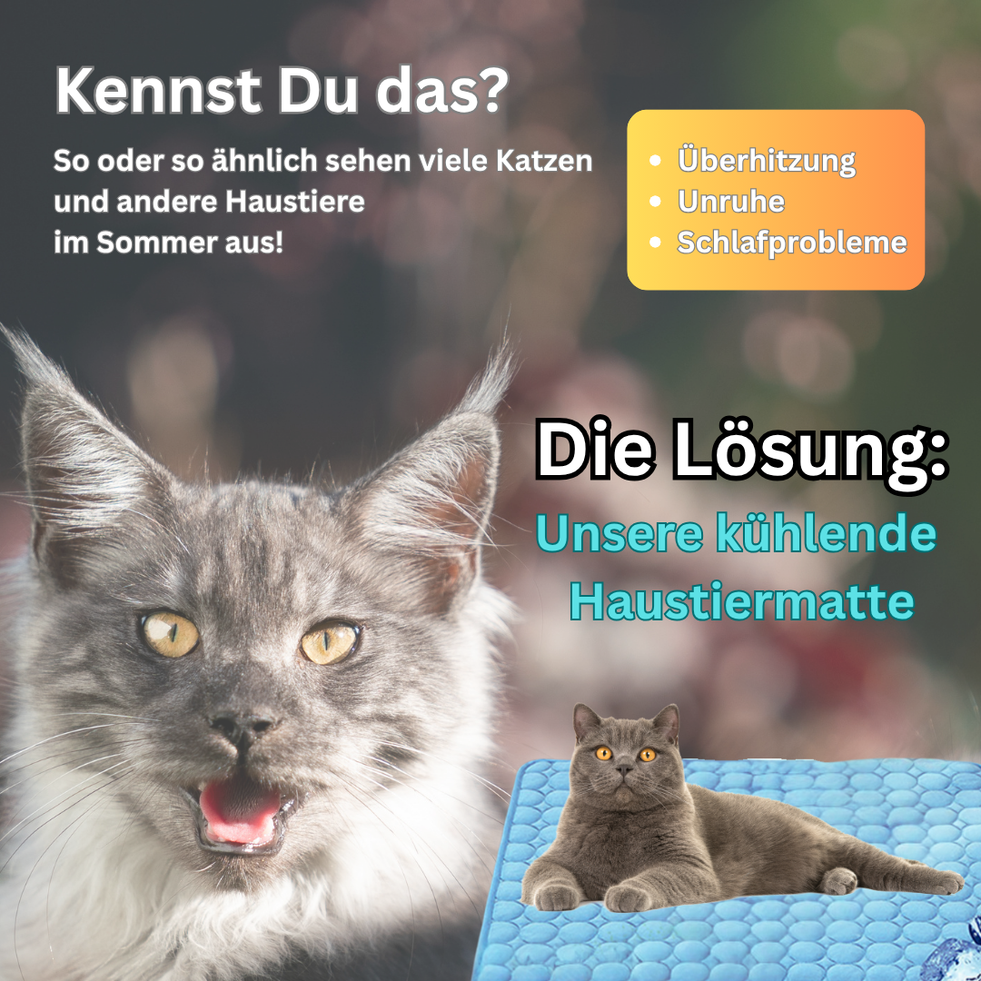 ❄️Kühlende Haustiermatte